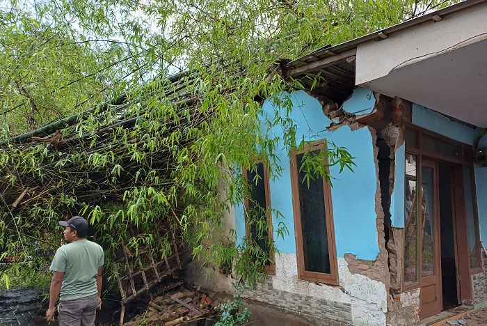 Pohon tumbang merusak fasilitas umum serta menutup akses jalan di Kabupaten Bondowoso. (Dok. BPBD Kabupaten Bondowoso)