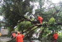 Pohon tumbang melintang jalan mengakibatkan poros jalur alternatif Madiun - Magetan, Jawa Timur. (Dok. Fin)