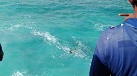 Ayah Asal Solo Tewas Tenggelam Saat Menolong Anaknya Terseret Ombak Laut Selatan. (Dok. Fin)