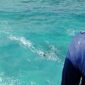 Ayah Asal Solo Tewas Tenggelam Saat Menolong Anaknya Terseret Ombak Laut Selatan. (Dok. Fin)