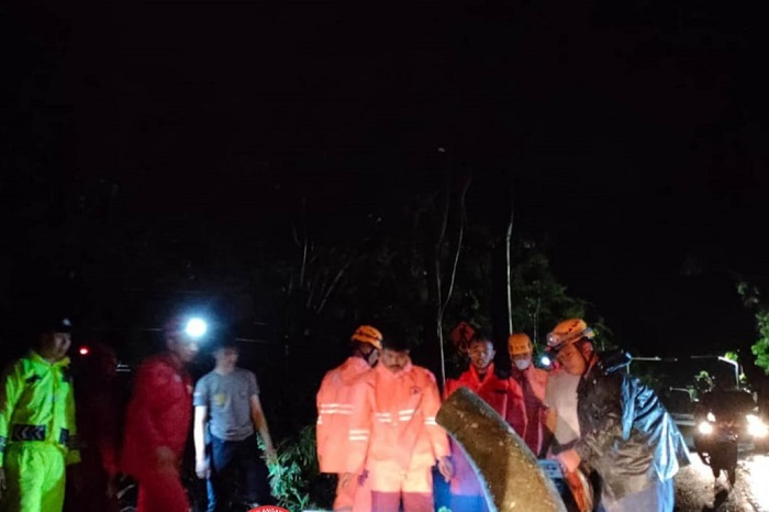 Dua Pohon ukuran besar tumbang di dua kecamatan wilayah Kabupaten Magetan, Jawa Timur. (Dok Fin)

