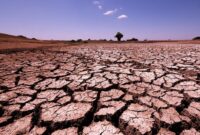 18 Kabupaten dan Kota di Jawa Timur, NTT dan NTB Alami Kekeringan. (Pixabay.com/hbieser)