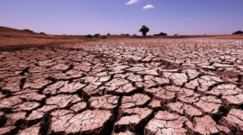 18 Kabupaten dan Kota di Jawa Timur, NTT dan NTB Alami Kekeringan. (Pixabay.com/hbieser)