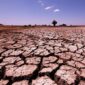 18 Kabupaten dan Kota di Jawa Timur, NTT dan NTB Alami Kekeringan. (Pixabay.com/hbieser)