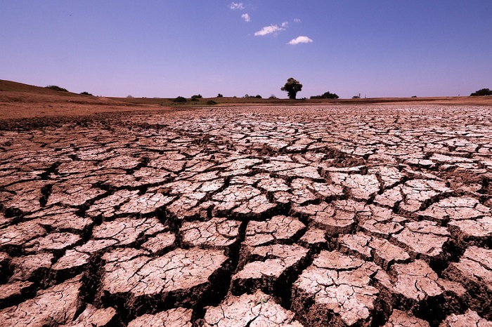 18 Kabupaten dan Kota di Jawa Timur, NTT dan NTB Alami Kekeringan. (Pixabay.com/hbieser)