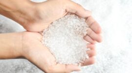 Polypropylene Resin